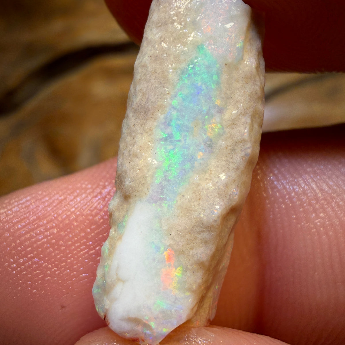 9.9cts - Opalised Belemnite Geological Specimen from South Australia
