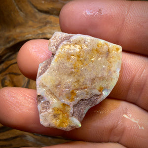 Wild Card! 42.1cts - Large South Australian White Opal Rough Piece