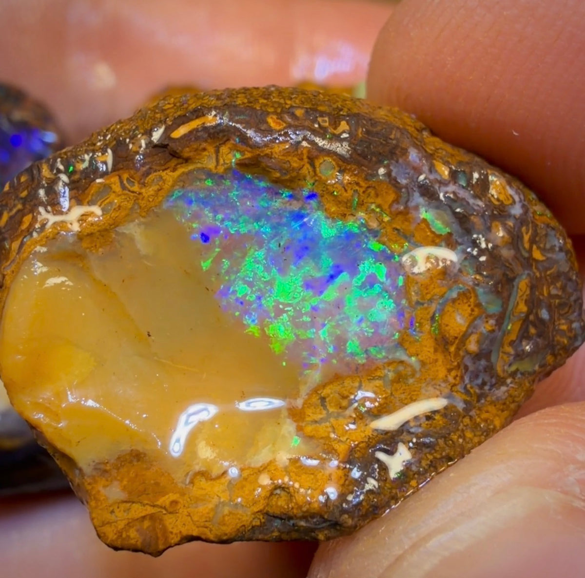 🔒183,2 ct – 6x Rohopal aus Yowah-Nuss. Australischer Boulder-Opal.