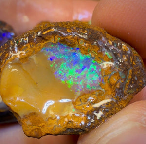 🔒183,2 ct – 6x Rohopal aus Yowah-Nuss. Australischer Boulder-Opal.
