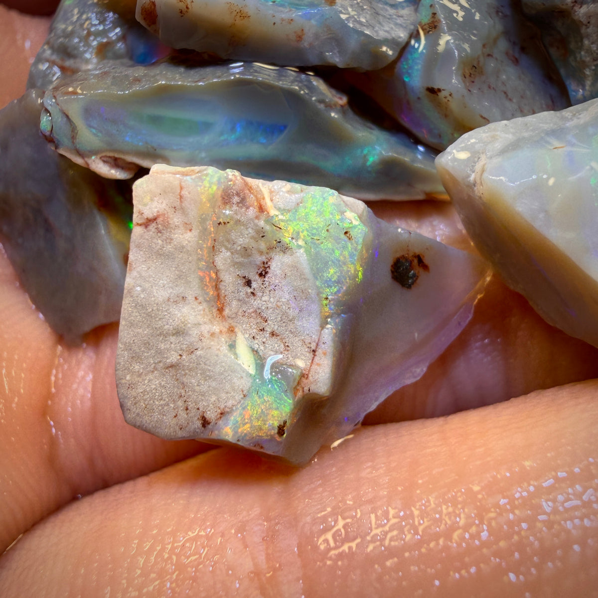 🔒76.4cts - 15x Lightning Ridge Opal Rough Parcel