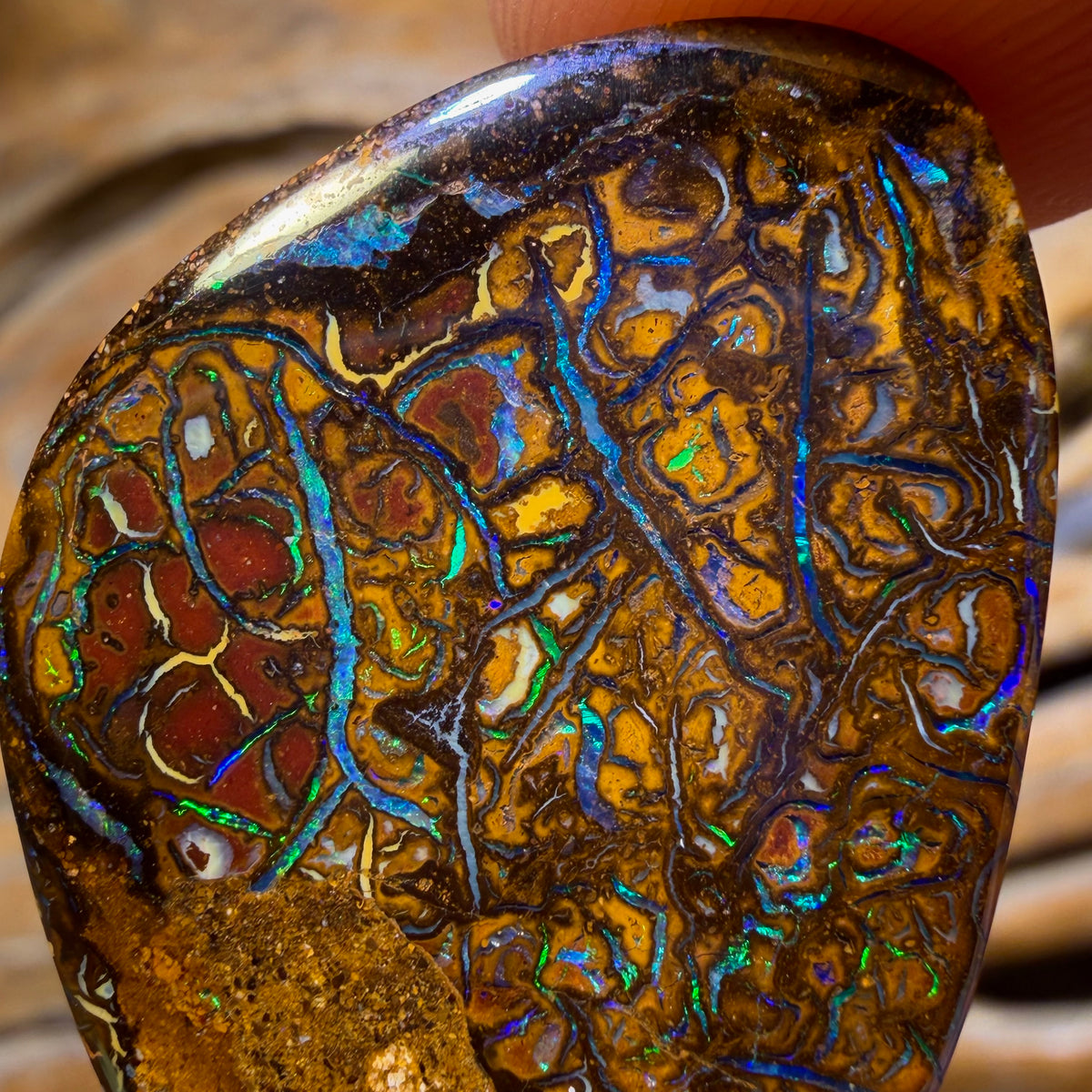 38.5cts - Tribal Queensland Boulder Opal from Yowah