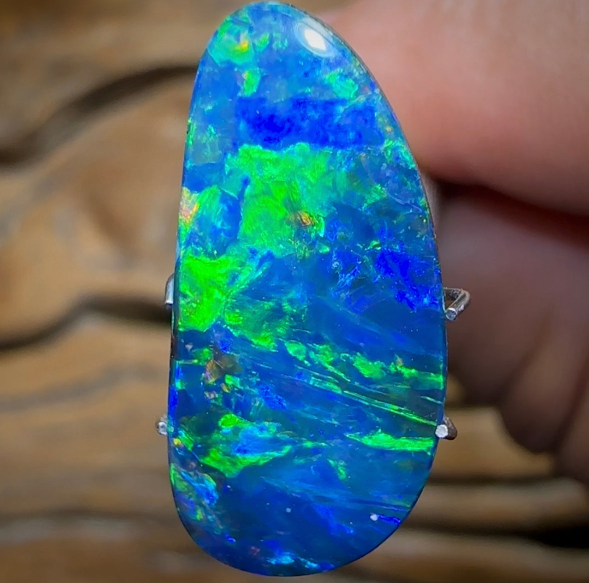 8.5cts - TOP Australian Boulder Opal Doublet - Opal Whisperers