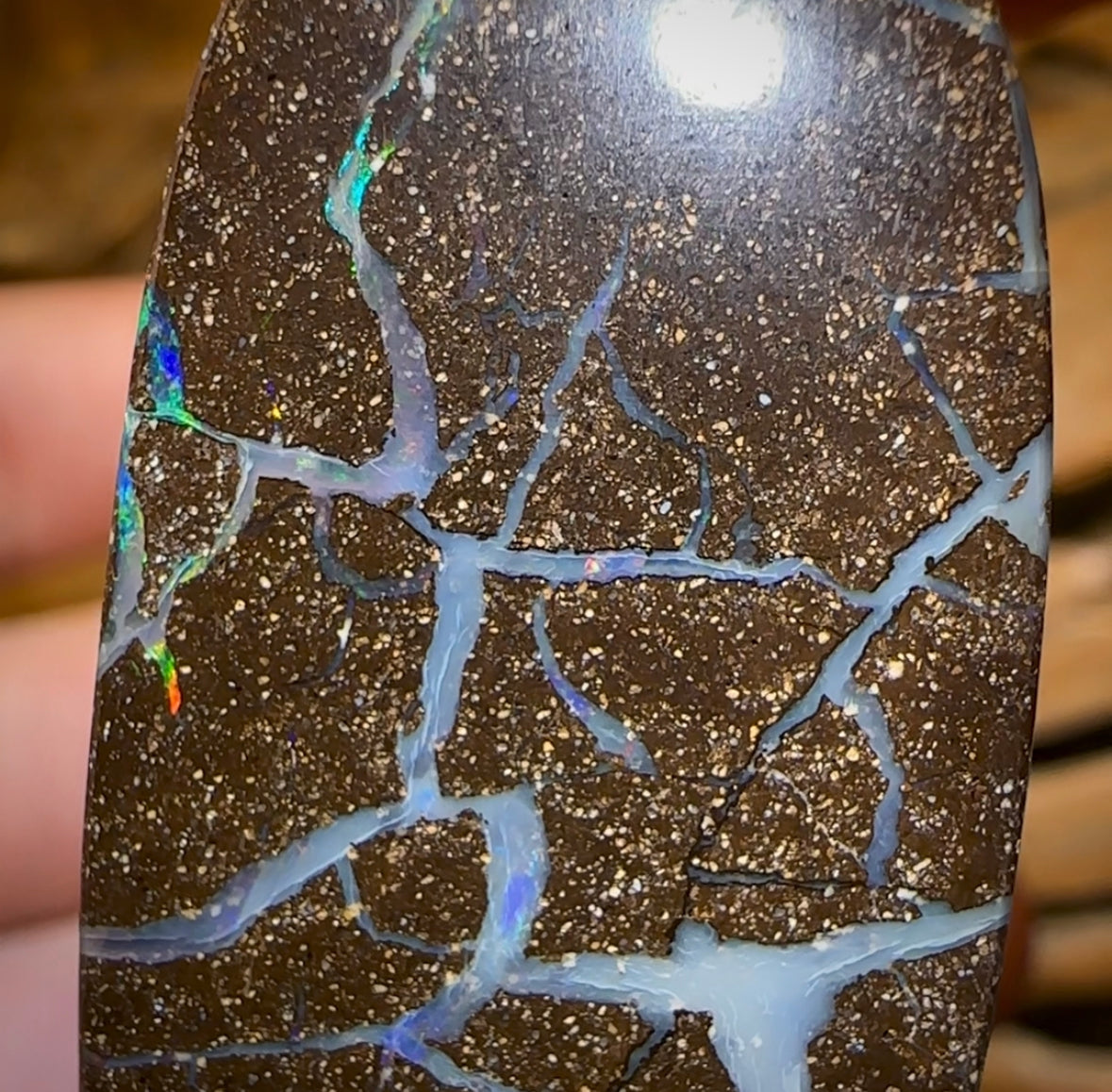 173.4cts - Australian Boulder Opal Set. Winton Seam Opal. Double Sided - Opal Whisperers