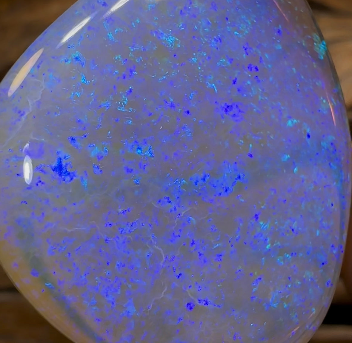 61.2cts - HUGE GEM Lightning Ridge Crystal Opal. Heritage Collection - Opal Whisperers
