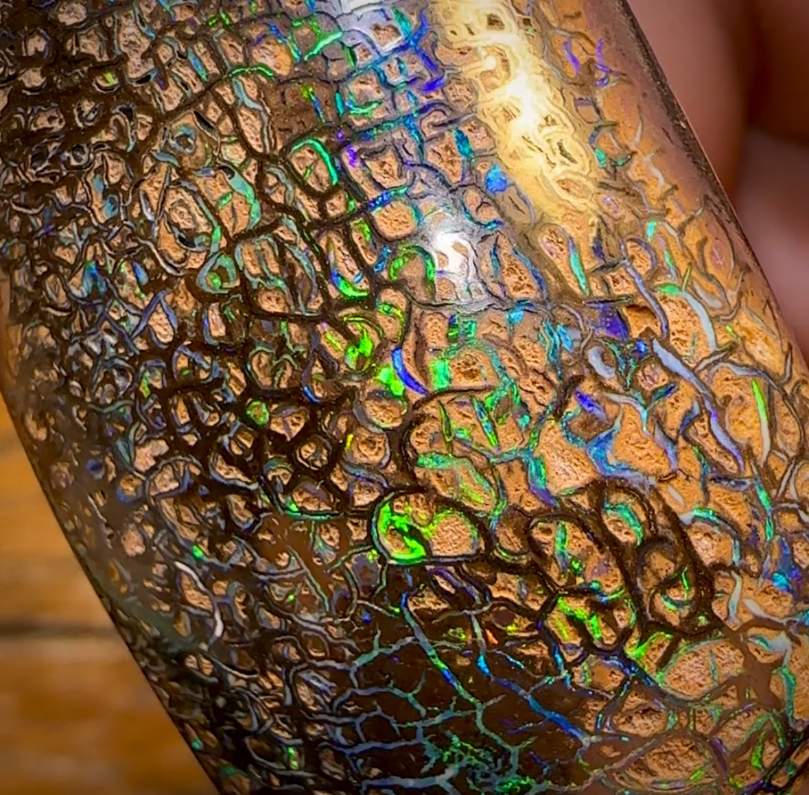 151.3cts - Top Tight Tribal Yowah Nut Opal