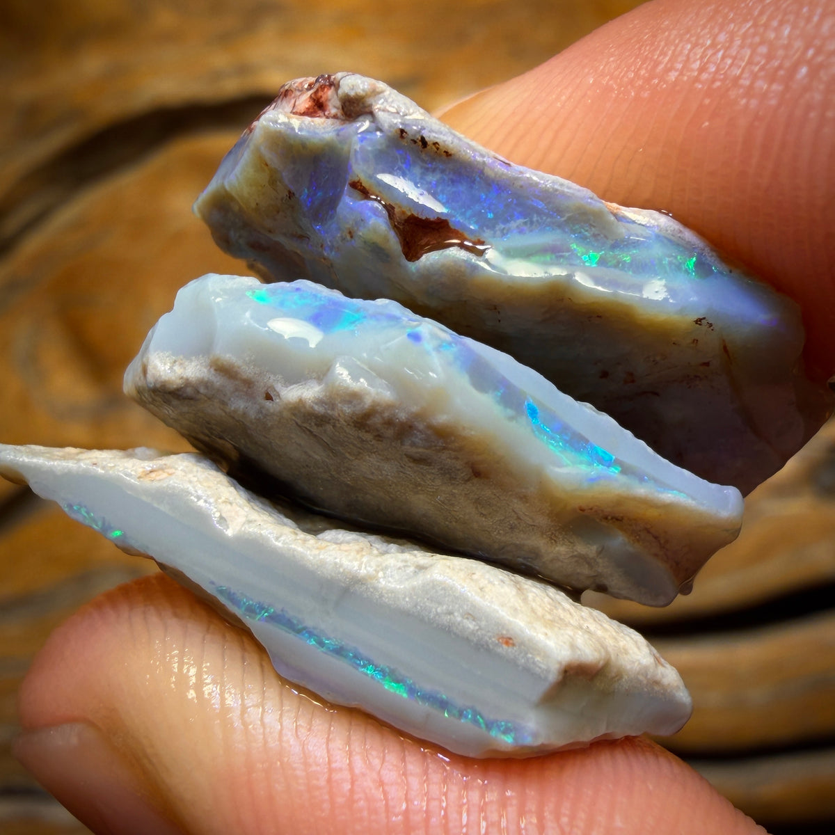 46.1cts - 3x Lightning Ridge Opal Rough Parcel