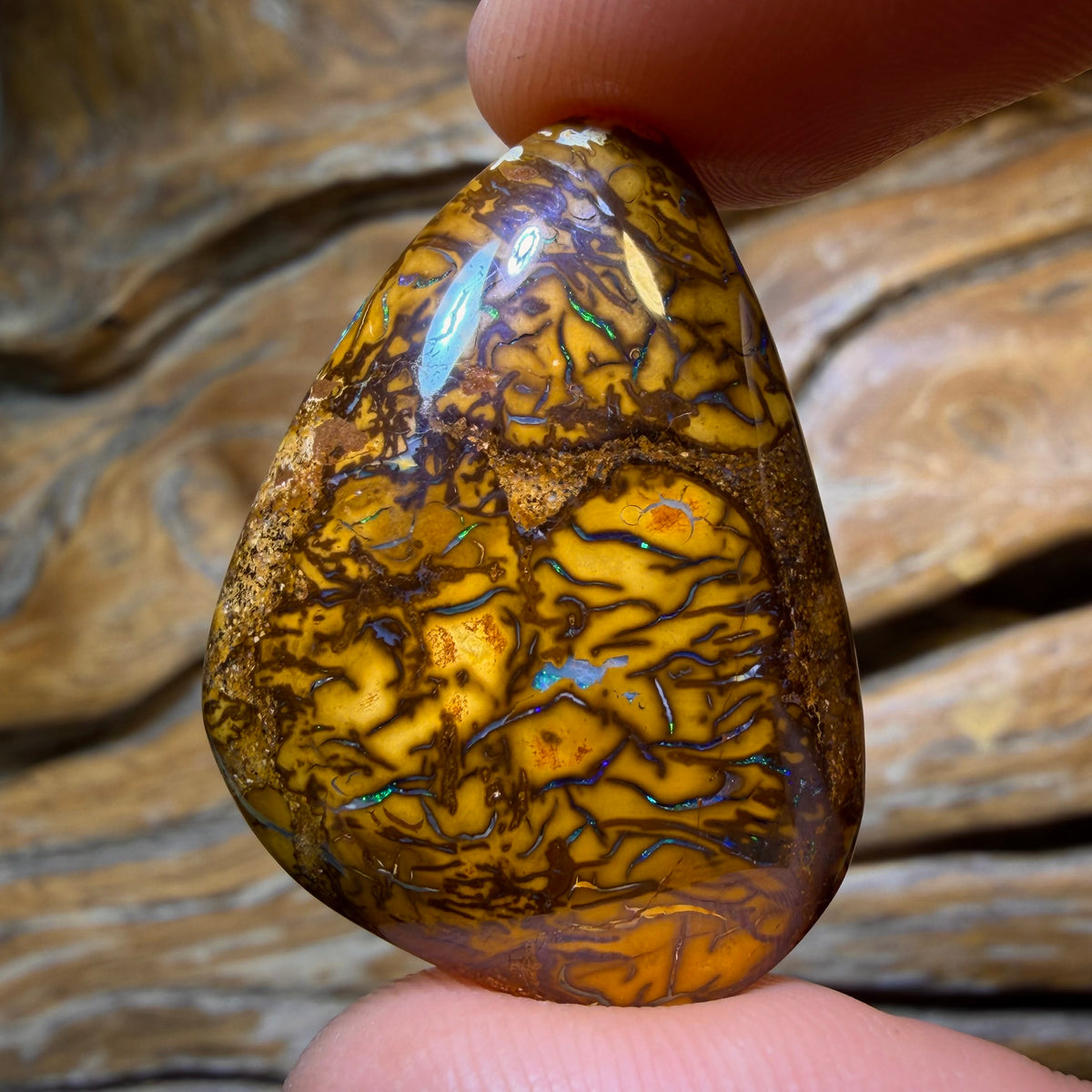46.1cts - Tribal Queensland Boulder Opal. Australian Opal