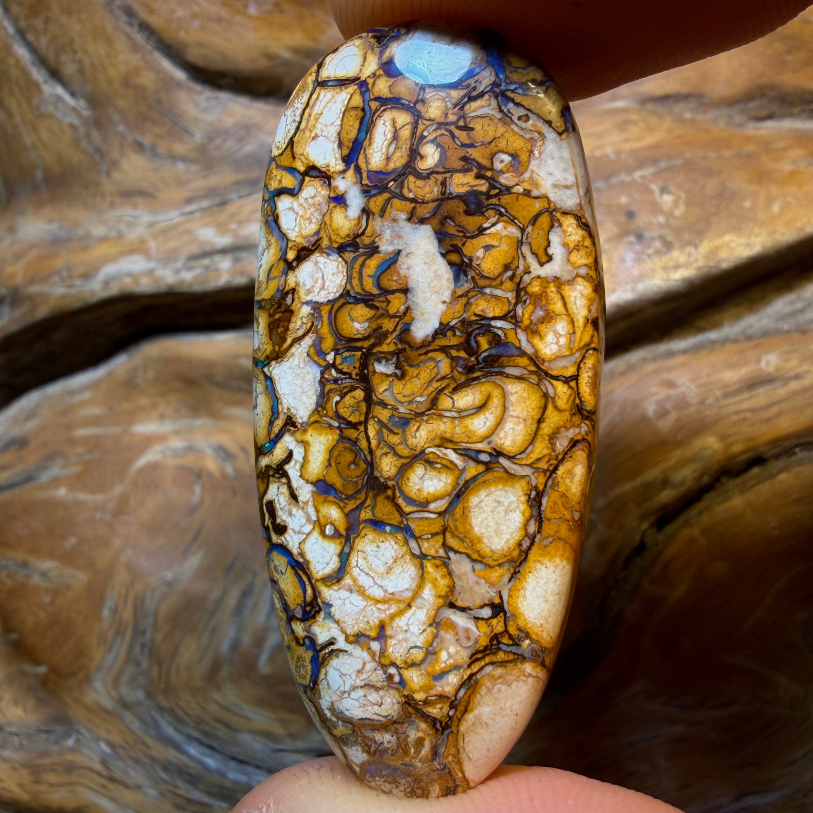 46.4cts - Tribal Yowah Nut Opal. Blonde Tribal