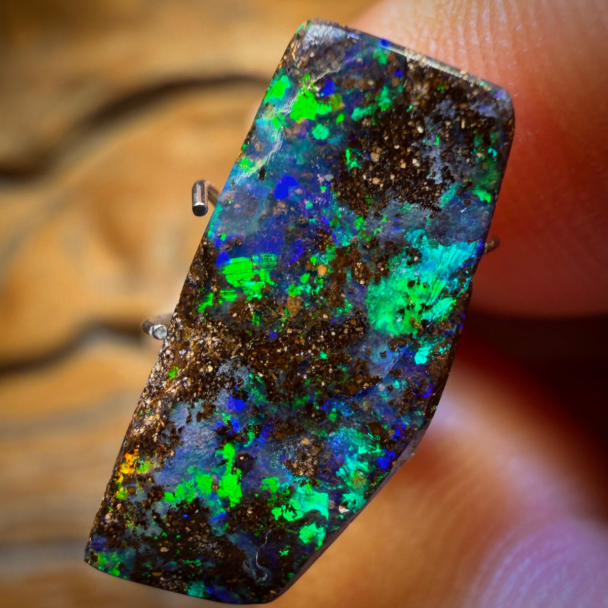 5.5cts - Queensland Boulder Seam Opal