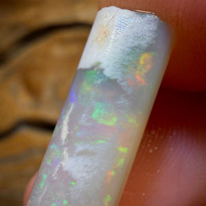 10.1cts - Opalised Belemnite Geological Specimen from South Australia