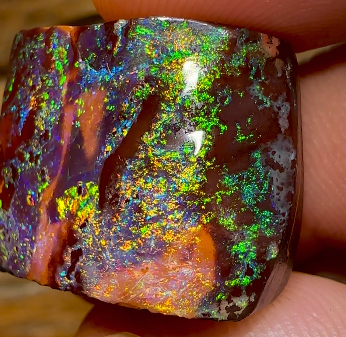 66.2cts - Queensland Boulder Opal from Yowah . Celebrity Stone - Opal Whisperers