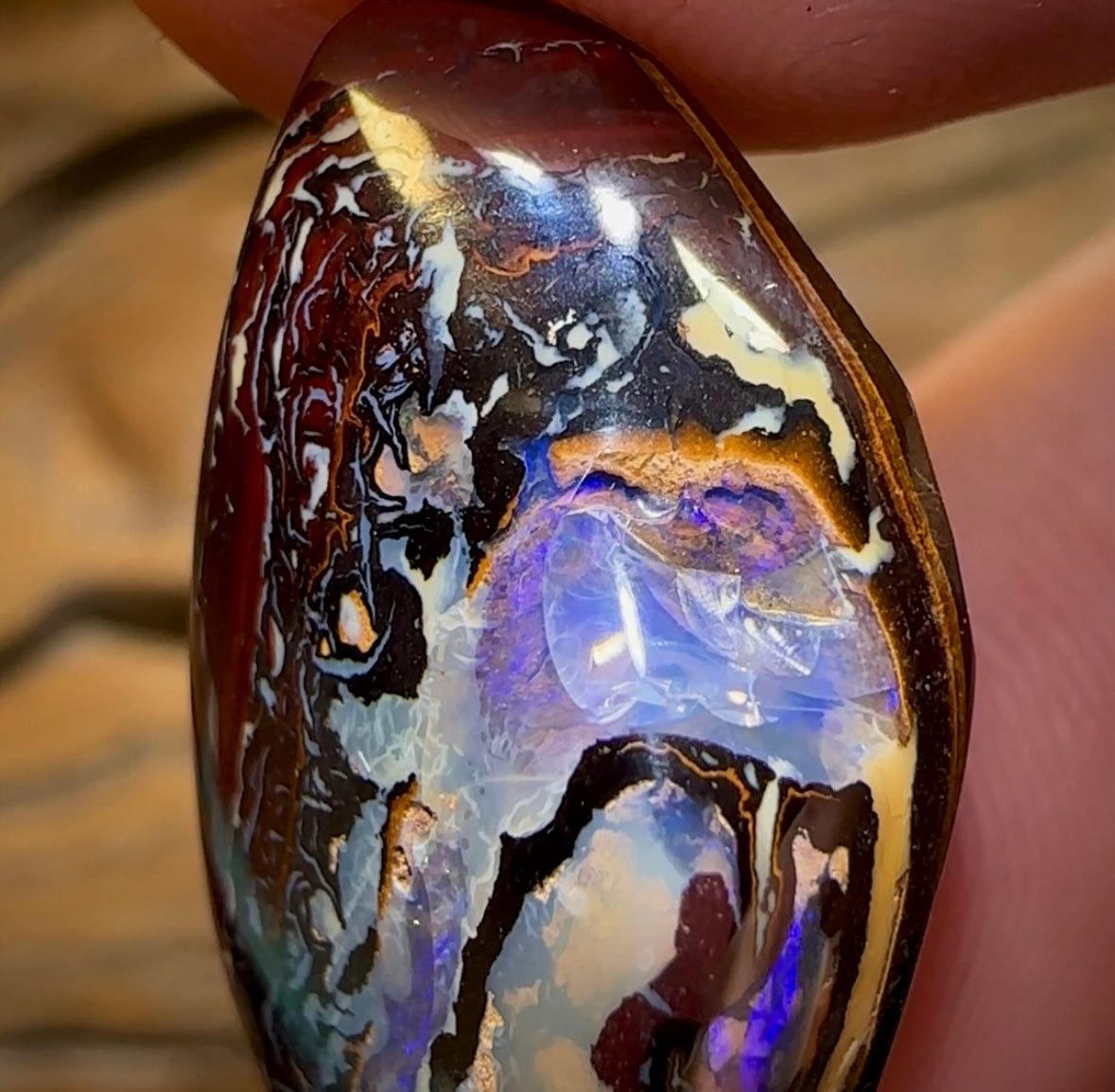 37.8cts - “Purple Kernel”Polished Koroit Nut Opal Specimen - Opal Whisperers