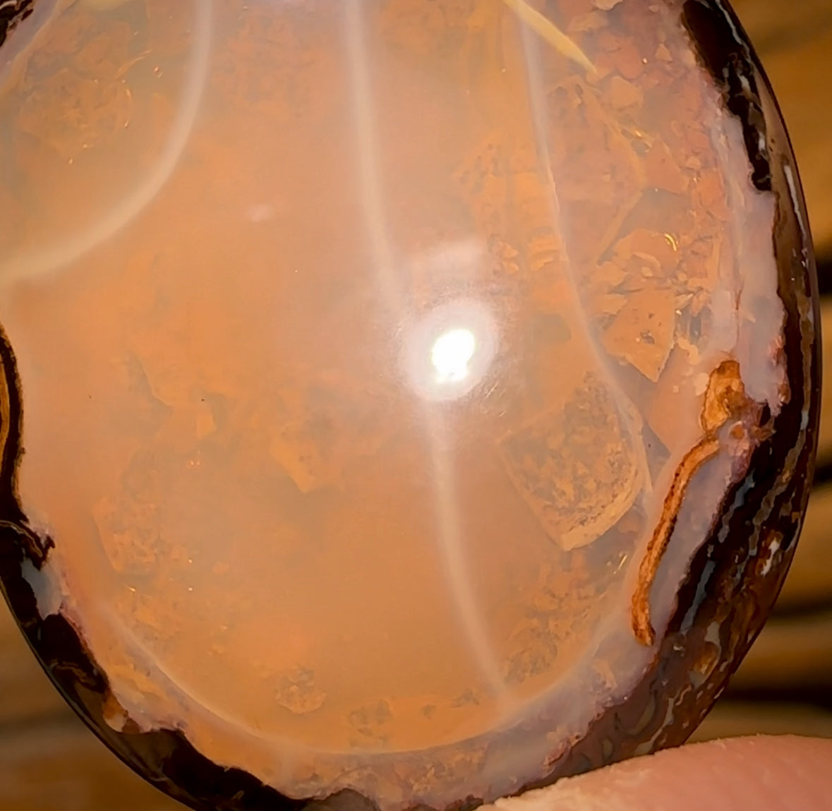 25.6cts - Yowah Nut Crystal Centre Opal. Australian Boulder Opal