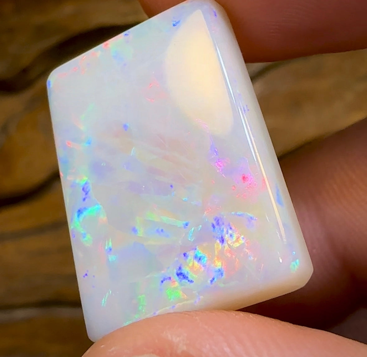 20.1cts  - Large Gem South Australian White Opal from Mintabie - Opal Whisperers