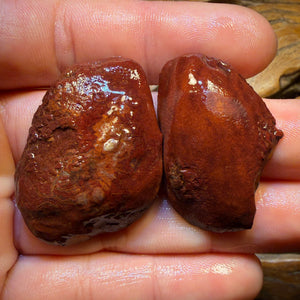 132cts - RARE Yowah Nut Partial Crystal Centre Rough Specimen Pair