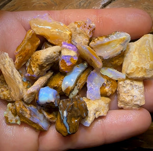 208.5cts - 25x Opalised Wood/Vegetation Fossil Rough Parcel from Yowah