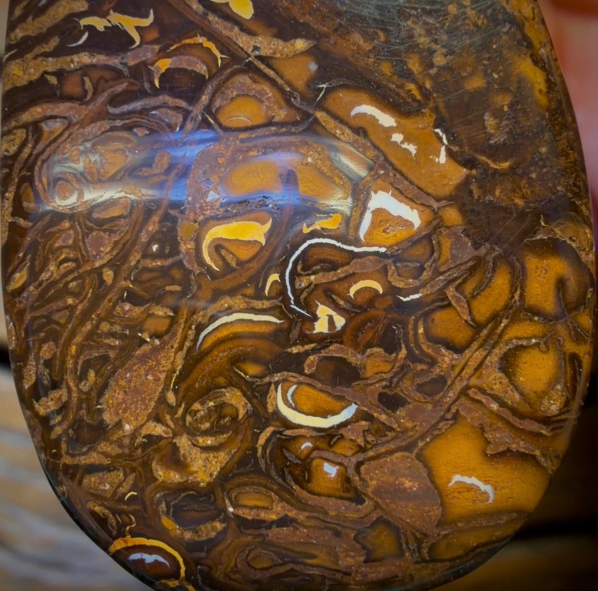 44 x 27mm - Drilled Boulder Opal Pendant w/ Eco Friendly Vegan Cord