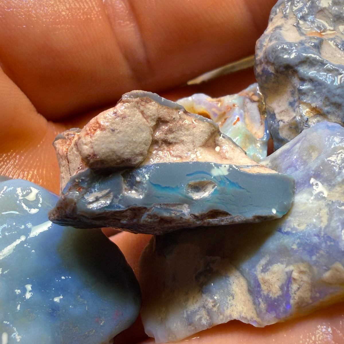 119.2cts - 5x Lightning Ridge Opal Rough Parcel