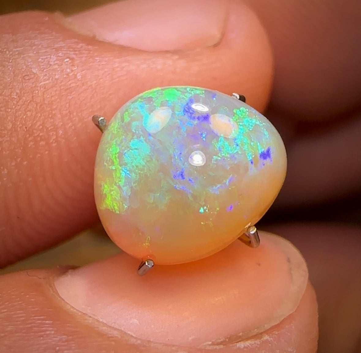 3.6cts - Lightning Ridge Golden Crystal Opal Great High Dome