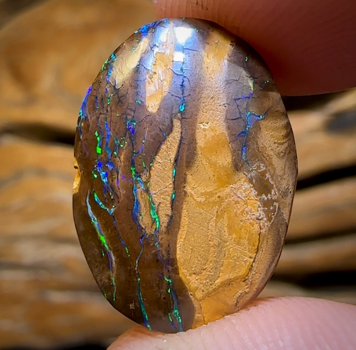 13.3cts - Queensland Boulder Opal from Yowah