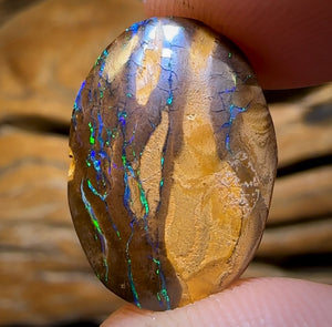 13.3cts - Queensland Boulder Opal from Yowah