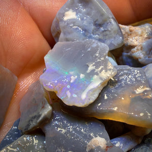 215cts - 19x Lightning Ridge Opal Rough Parcel. Practice Potch