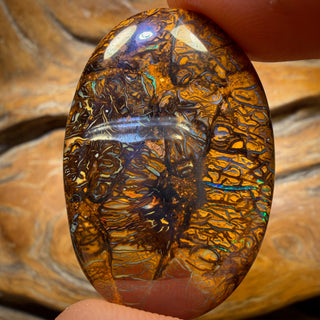 🔨 AUCTION 🔨 47.2cts - Tribal Yowah Nut Opal. Australian Opal