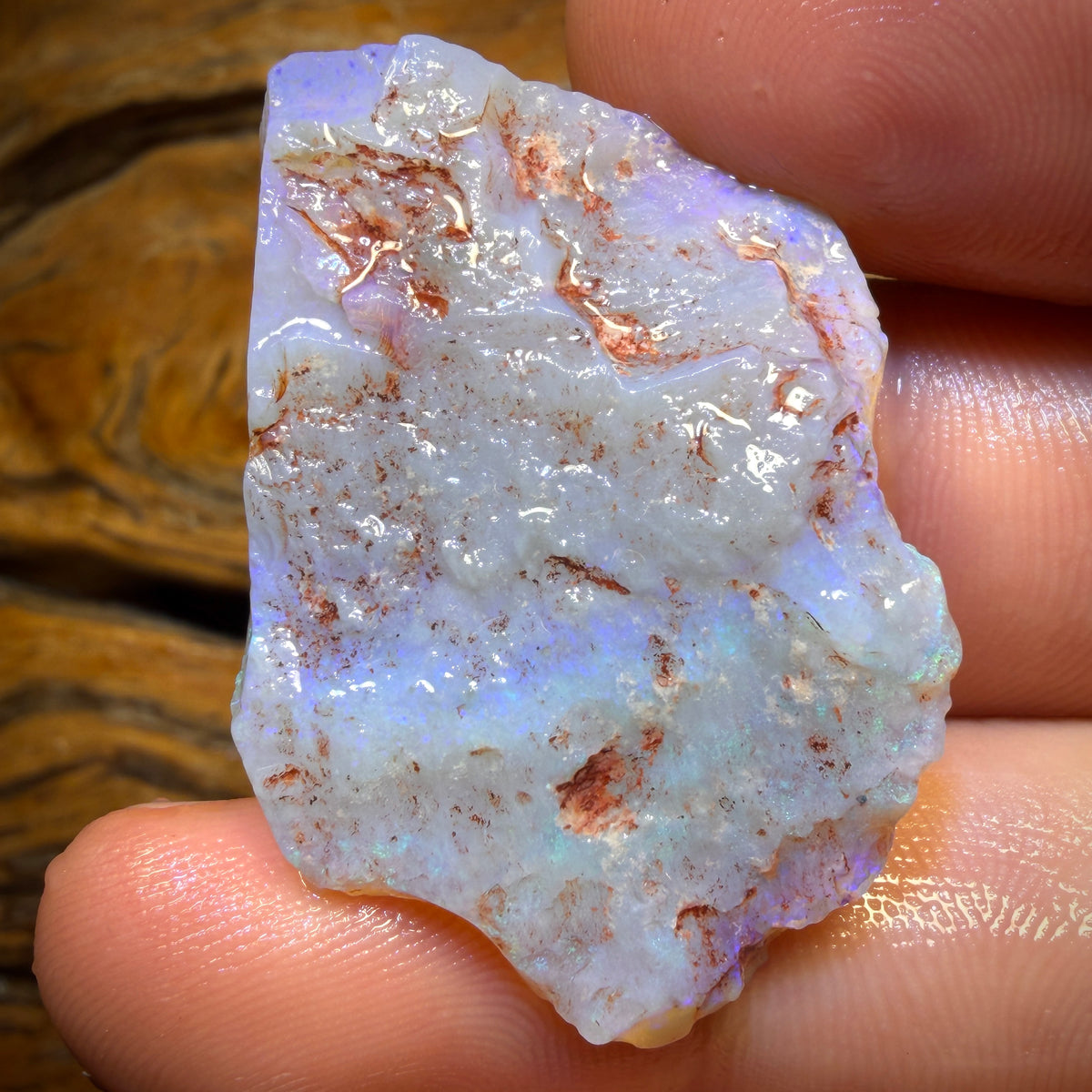 47.9cts - Lightning Ridge Opal Rough Piece