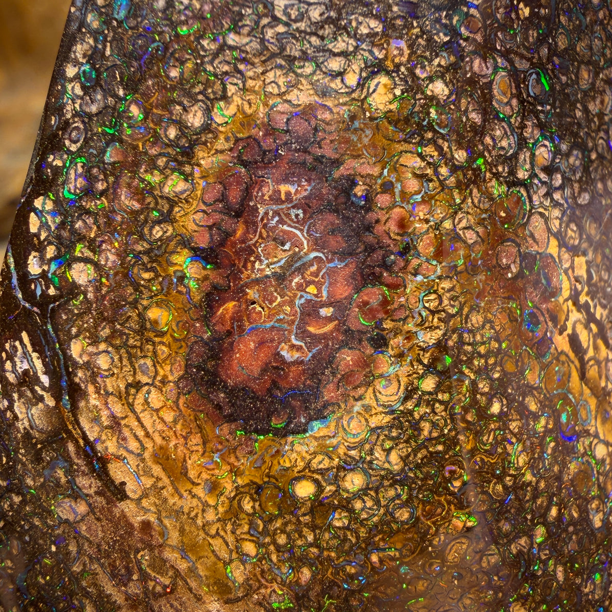 176cts - Large Tribal Queensland Boulder Opal from Yowah