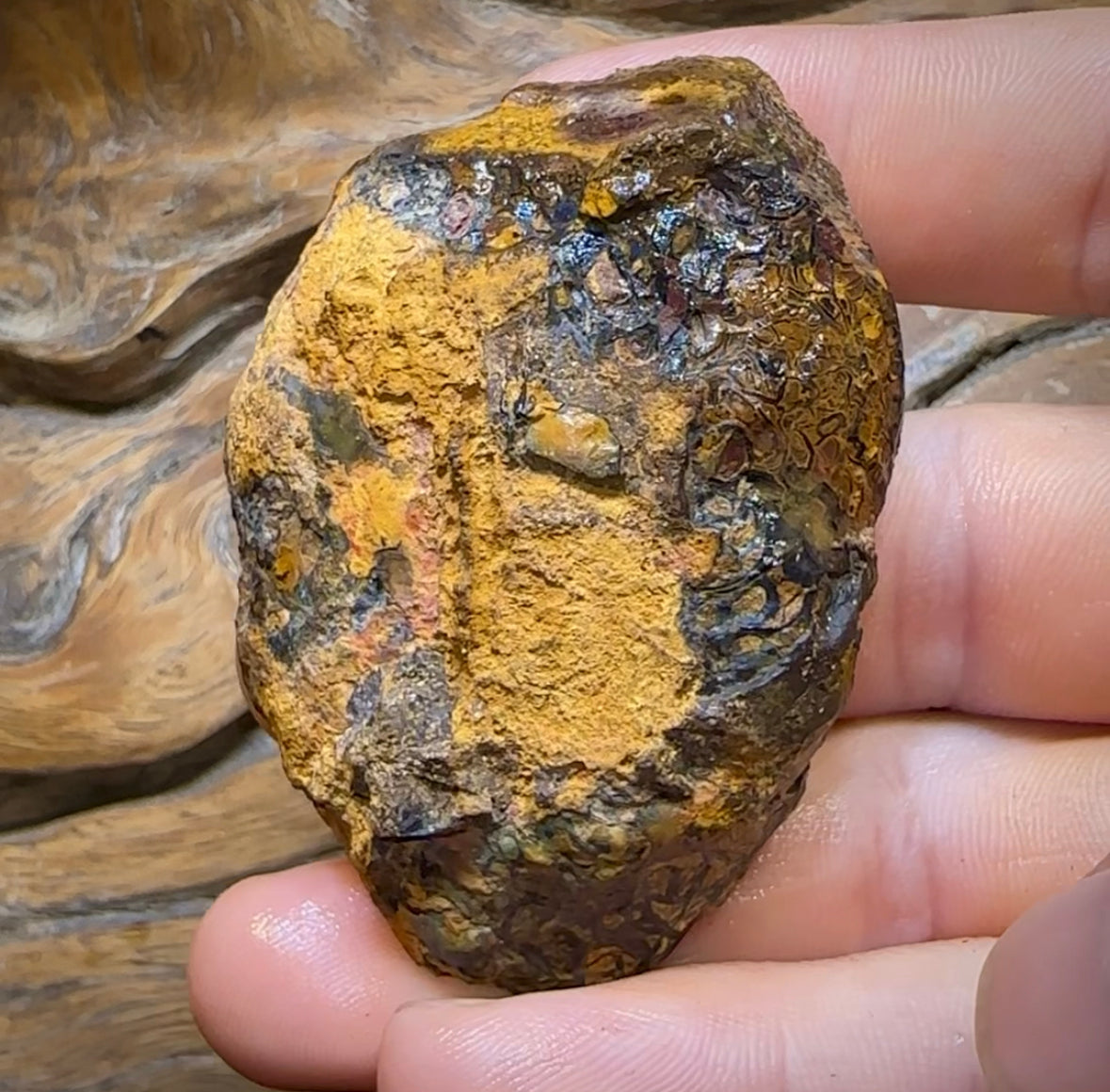 328.8cts - Yowah Nut Opal Rough Half. Australian Opal - Opal Whisperers