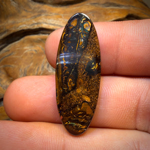 28.1cts - Tribal Queensland Boulder Opal. Australian Opal
