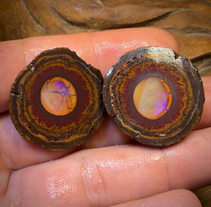 OpalFest Wildcard! 114.3cts - RARE Yowah Nut Crystal Centre Rough Specimen Pair