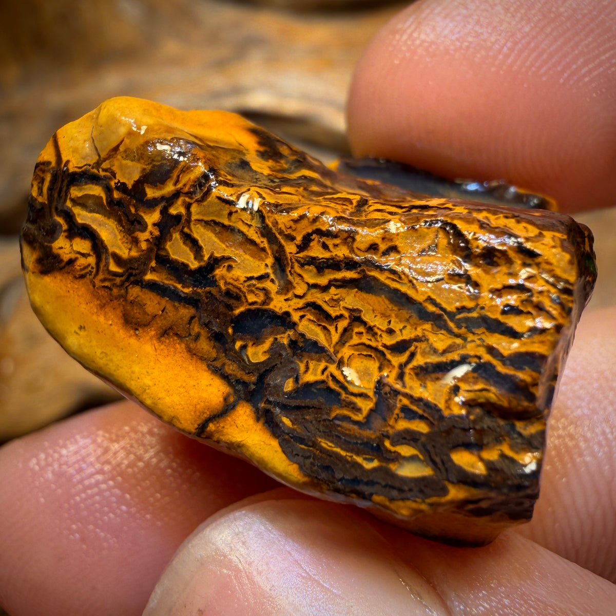 78.3 cts – Yowah Nussopal Rohstück