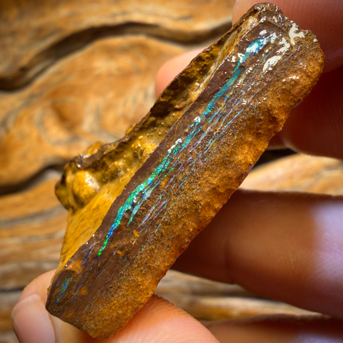 Half Price Card! 124cts - Yowah Opal Rough Piece. Biscuit Band Hit the Bar and Win Big!