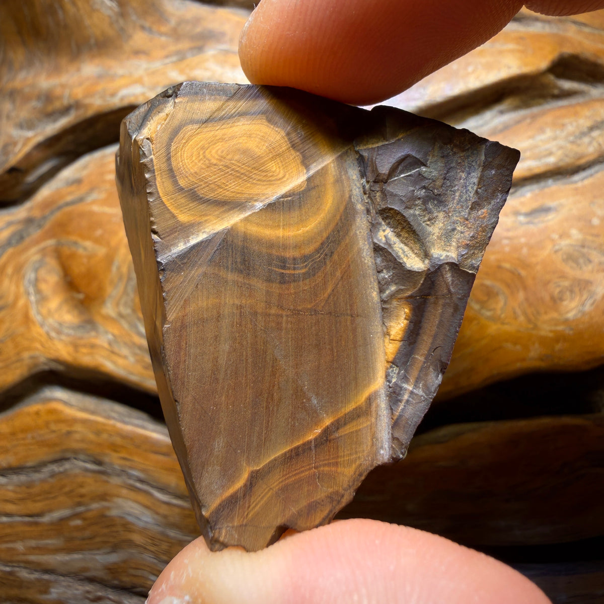 “Set in Stone” - Private Collector Acquisition- “Genesis” 247.1cts - Top Australian Boulder Seam Opal Specimen Polished