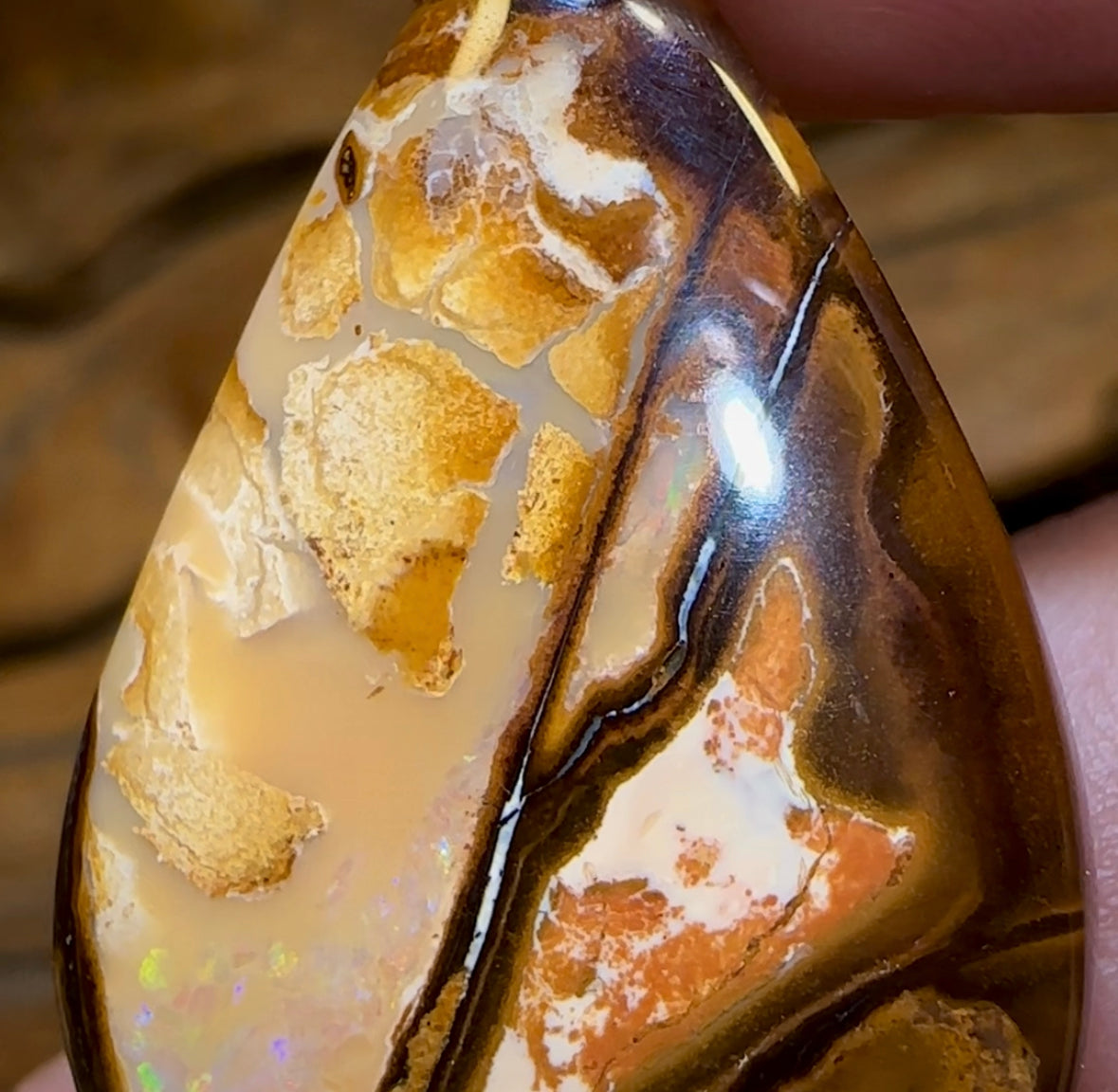 32.5cts - Queensland Boulder Opal from Yowah - Opal Whisperers