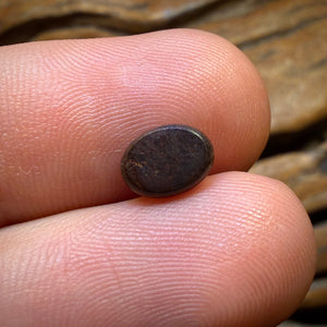 Bargain Card! 1.1cts - Australian Boulder Opal Doublet