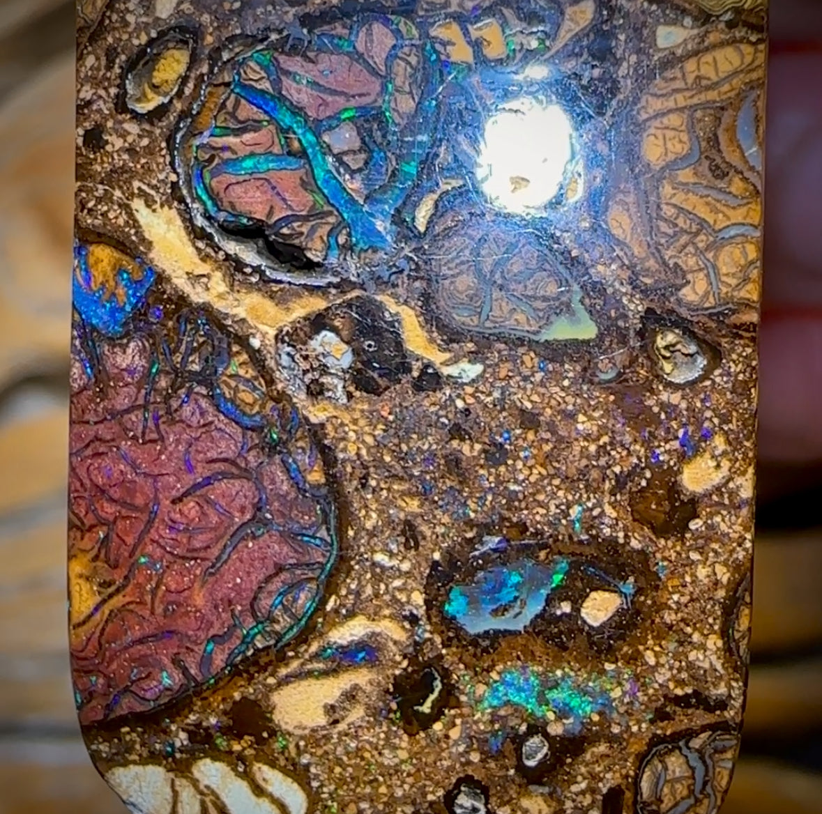 35 x 21mm - Drilled Tribal Australian Boulder Opal Necklace