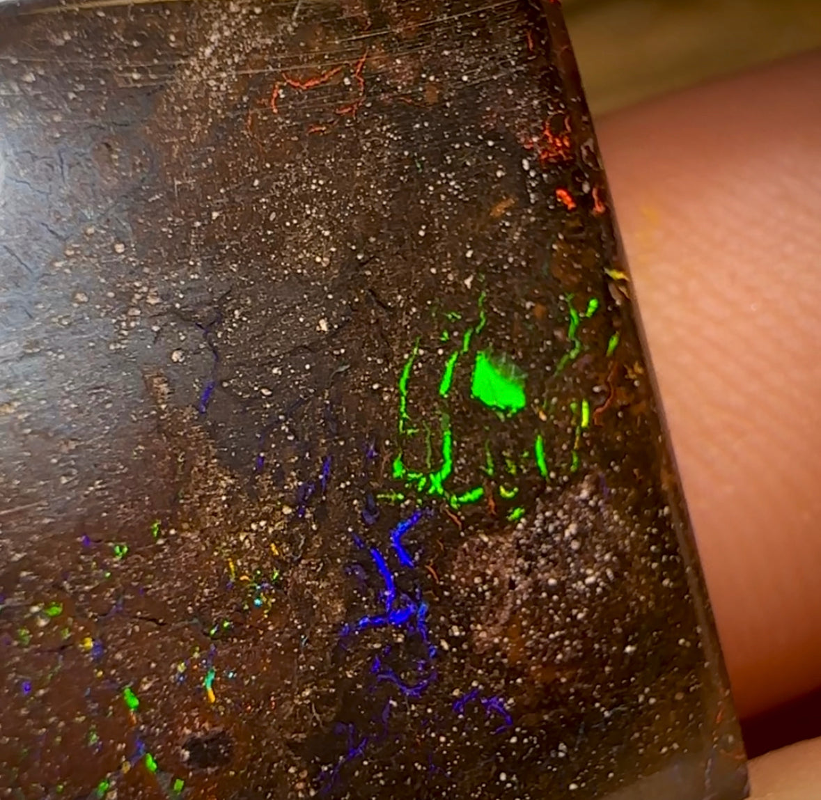 126.1cts - 3x Tribal Queensland Boulder Opal Parcel - Opal Whisperers