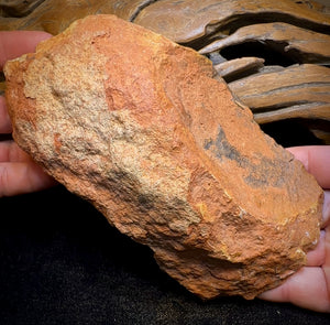 961.1g - HUGE Queensland Boulder Seam Opal Rough Specimen