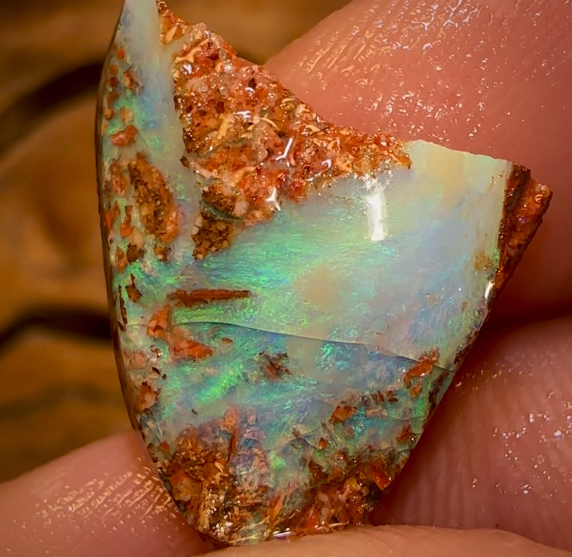 10.3cts - Queensland Boulder Pipe Opal Rough Piece
