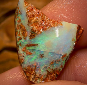 10.3cts - Queensland Boulder Pipe Opal Rough Piece