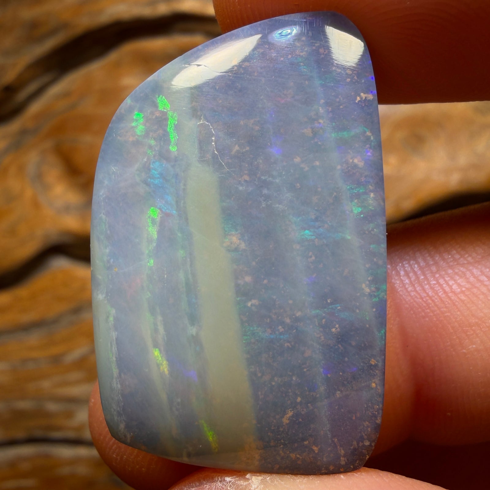 48.1cts - Top Australian Boulder Seam Opal from Winton