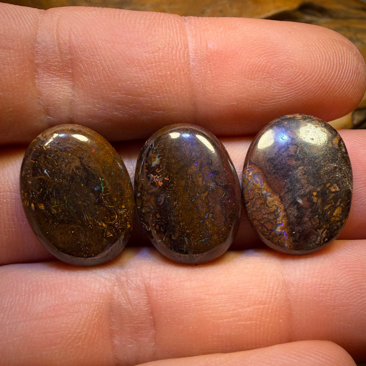 48.3cts - 3x Australian Tribal Boulder Opal’s. Wholesale Parcel