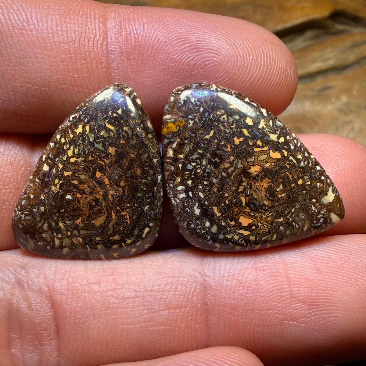 48.3cts - Tribal Queensland Boulder Opal Pair