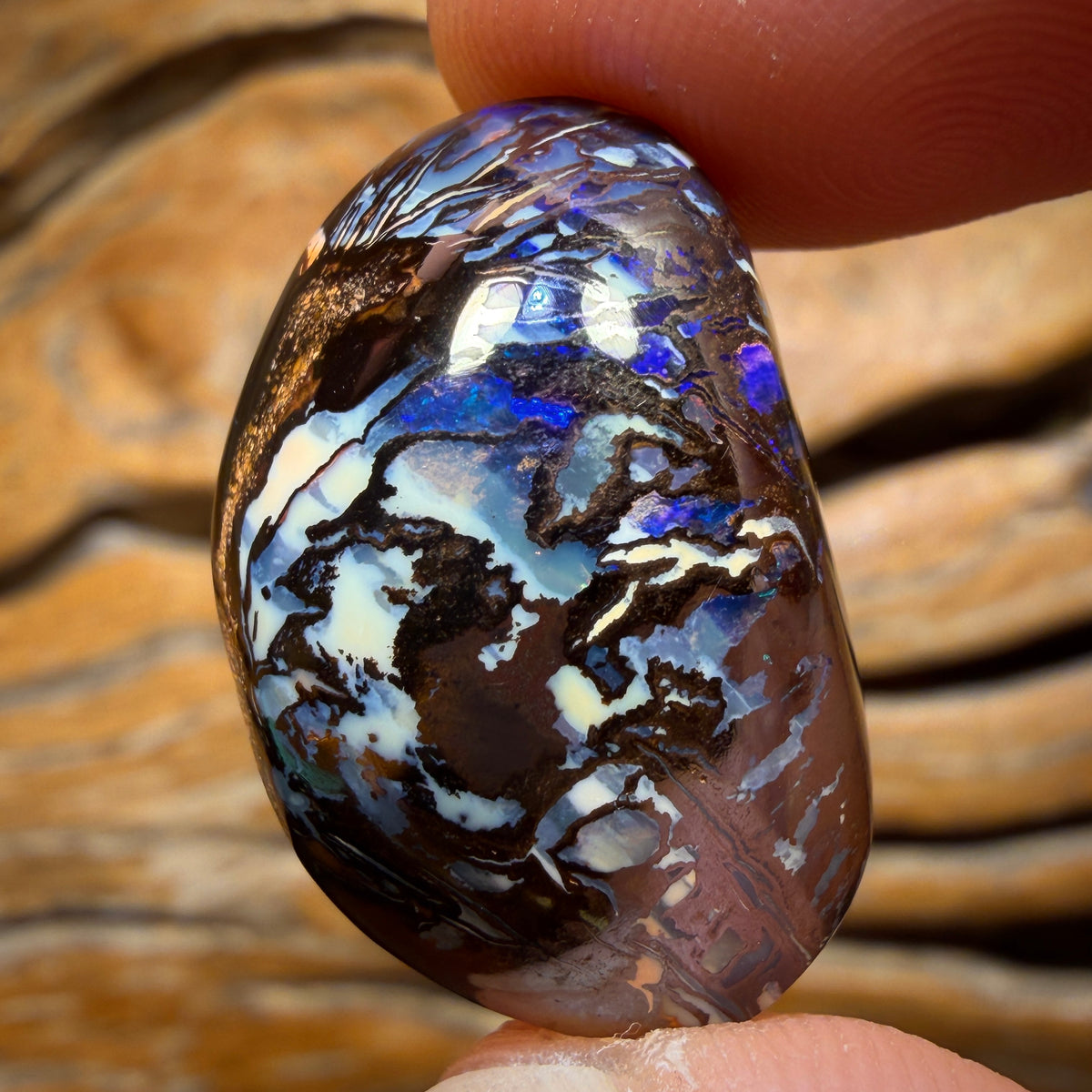 48.7cts - Australian Tribal Boulder Opal from Koroit