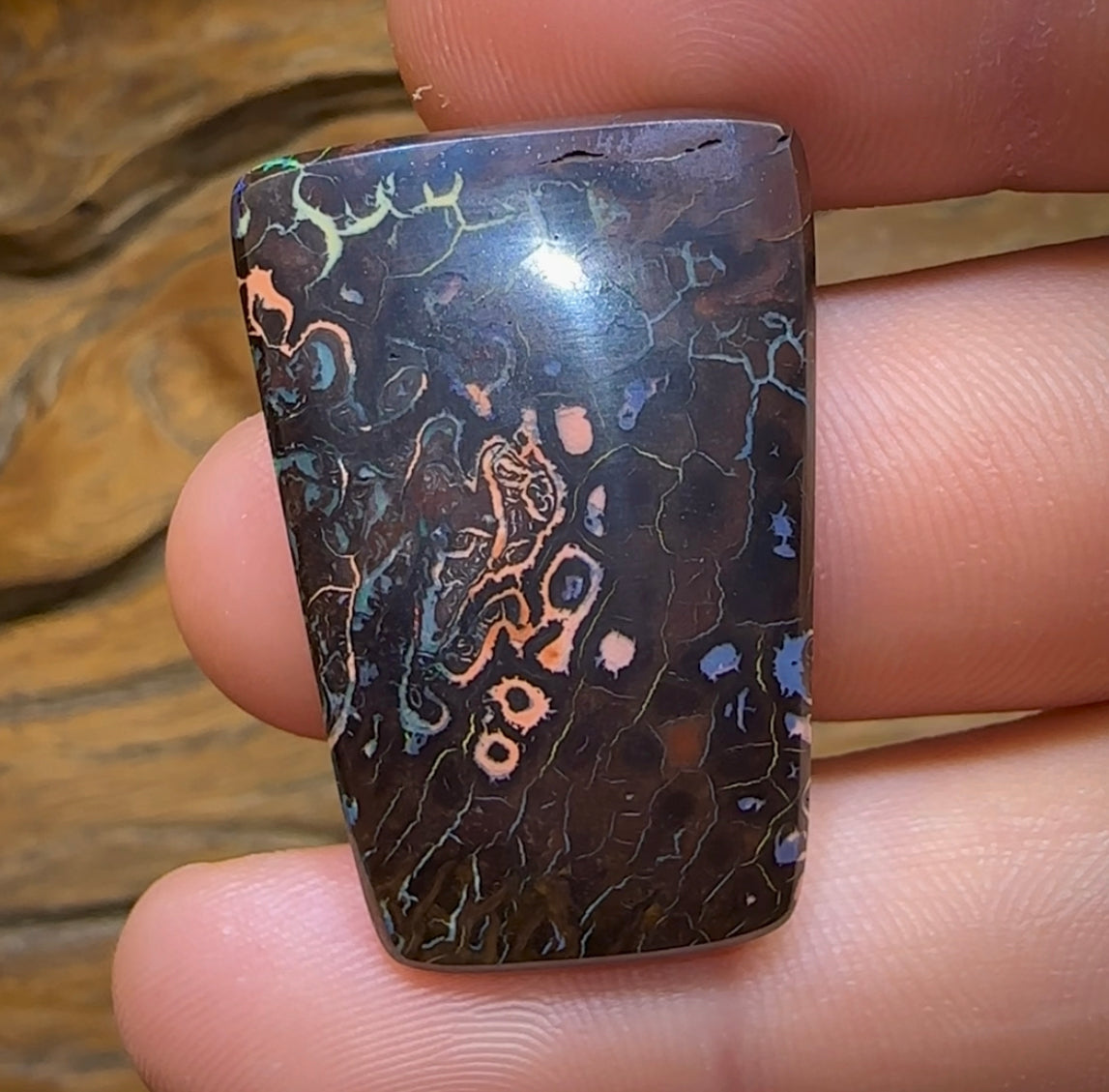 38.1cts - Top Tribal Australian Boulder Opal. - Opal Whisperers