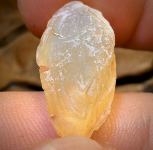 12.9cts - Opalised Shell Rare Geological Rough Specimen from Lightning Ridge