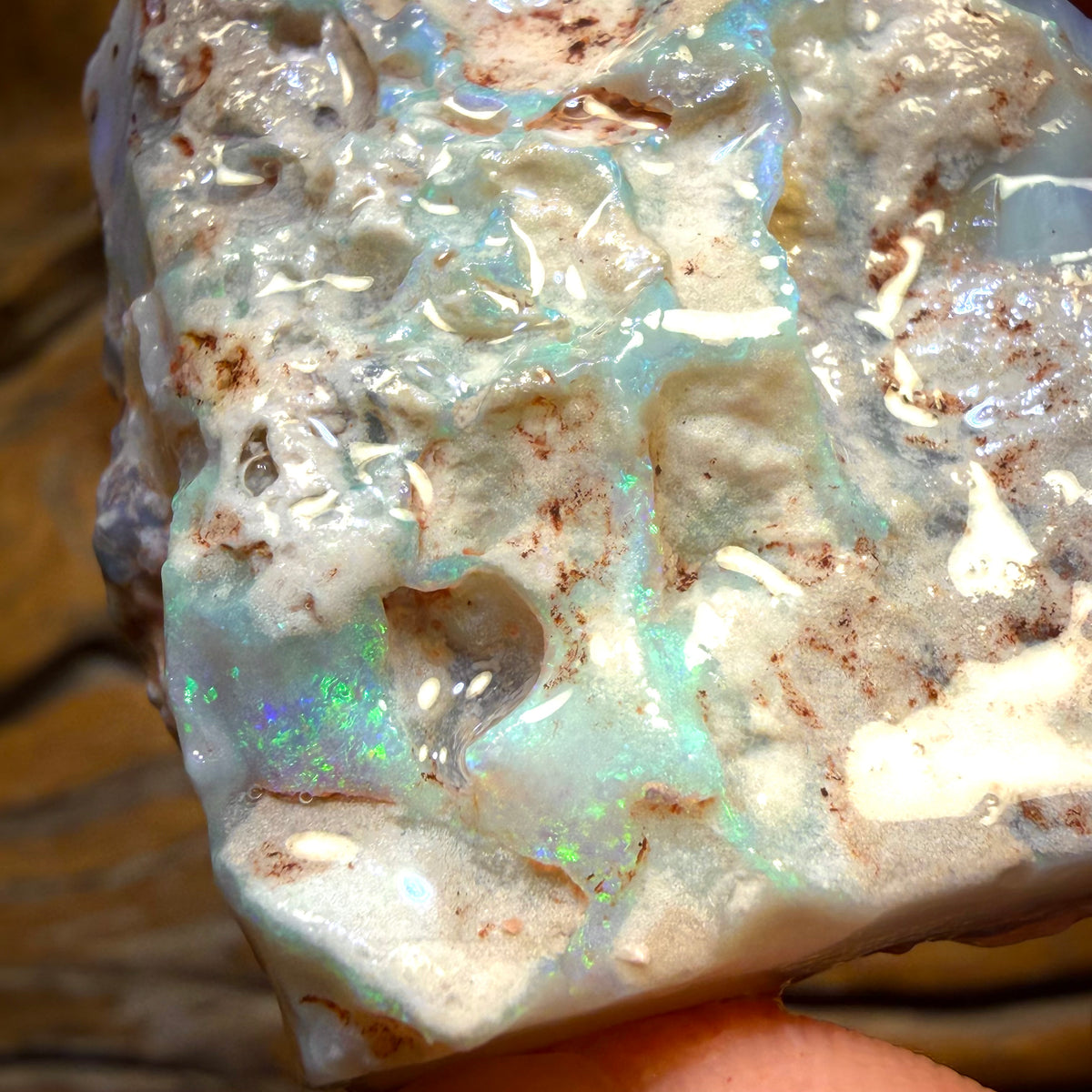 186.1cts - Large Lightning Ridge Dark Opal Rough Piece